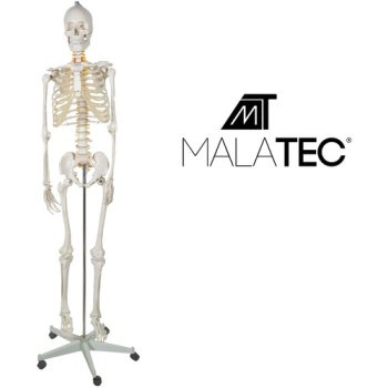 Malatec -