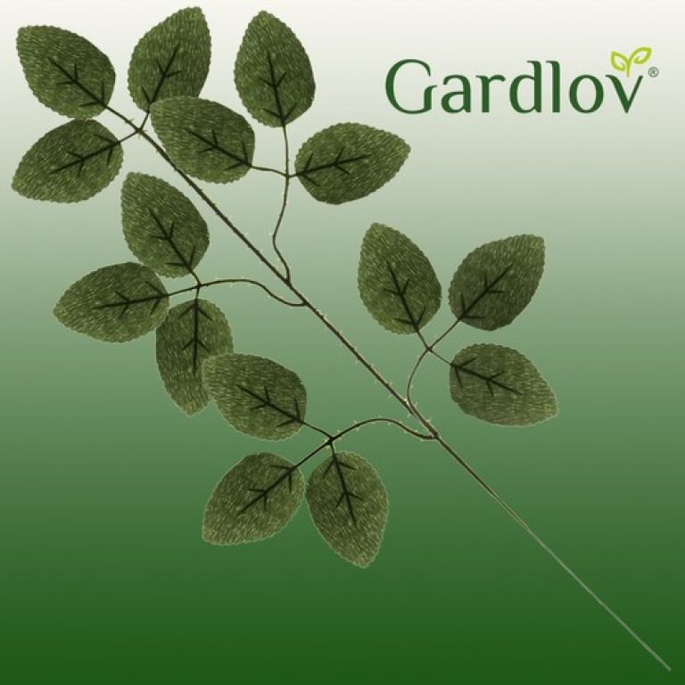 Gardlov -