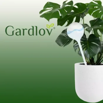 Gardlov