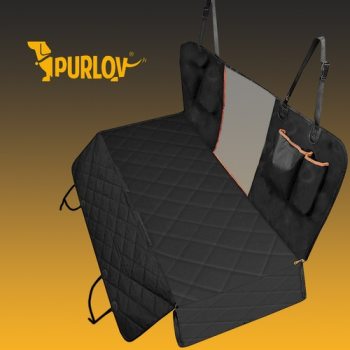 Purlov -